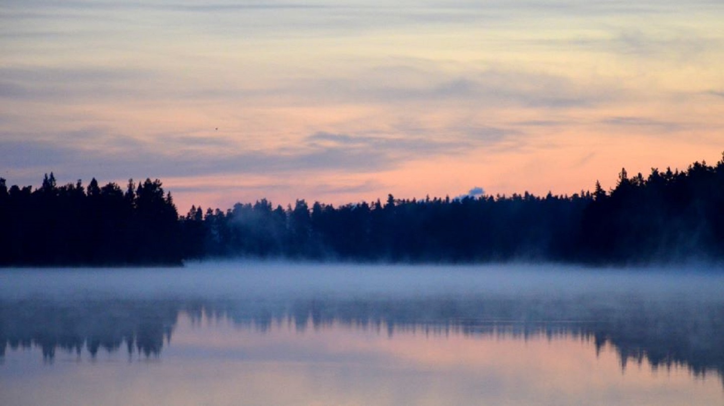 En vacker bild med dimma över sjö.