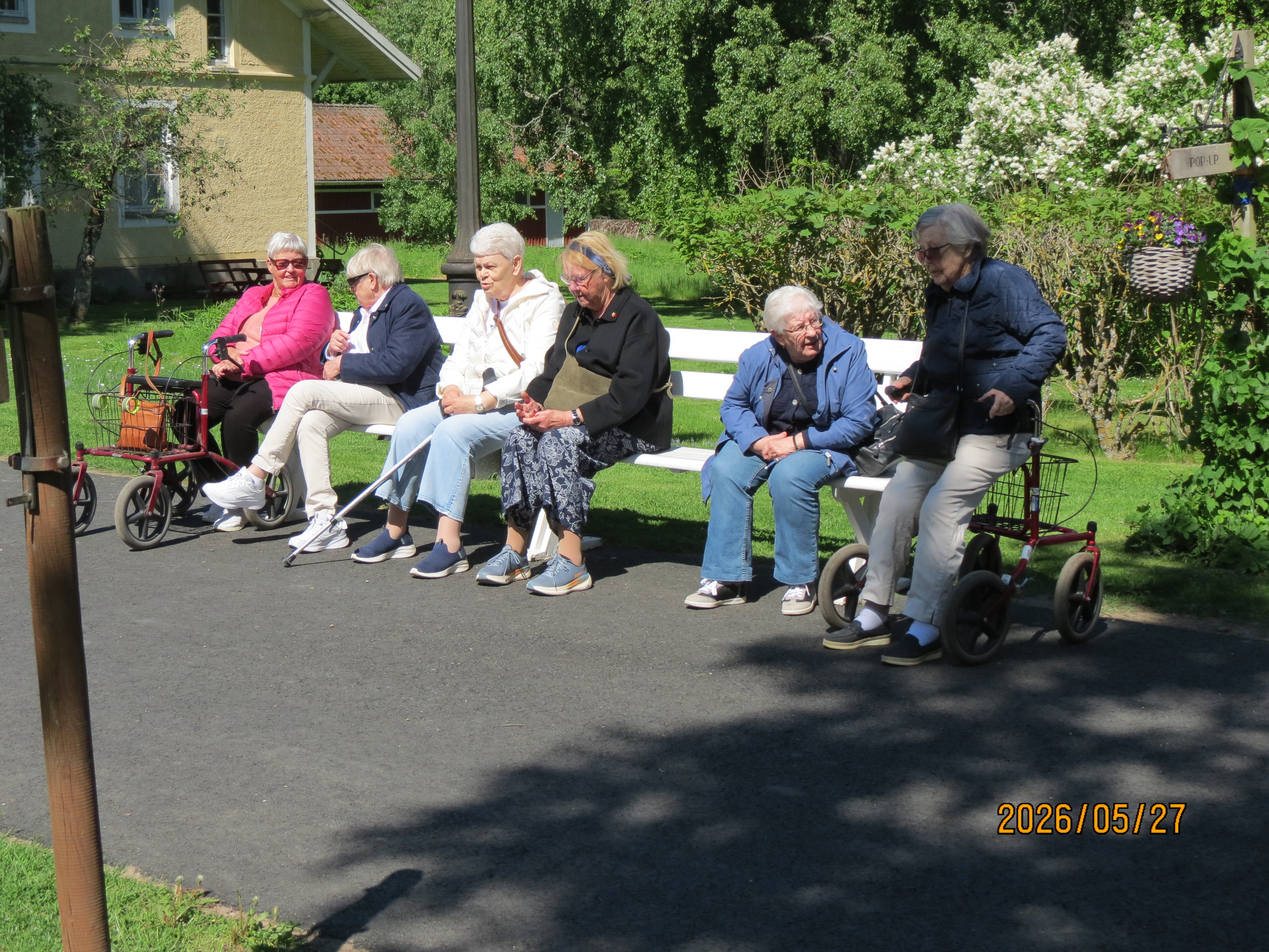 En stunds vila i solskenet