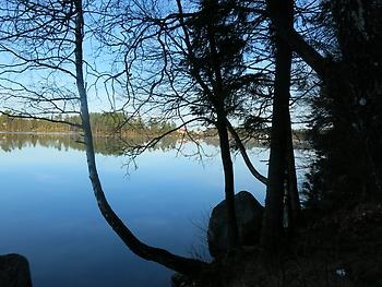 Dalsjön från östra sidan