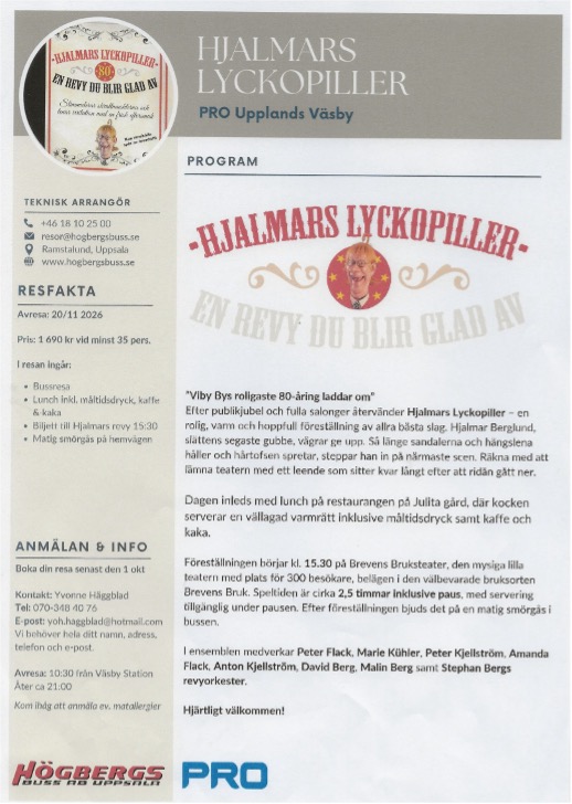 Hjalmars Lyckopiller