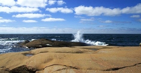 Roslagskusten möter Ålands hav i Norrtälje kommun som har cirka 10 500 havsöar 