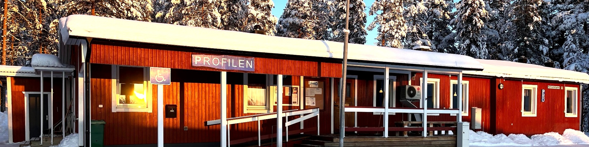Profilen