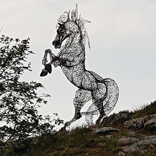 Den Syrianska hästen vid inloppet till Uddevalla.