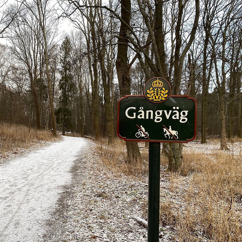 En gångväg i skogen på vintern med lite snö och en skylt med texten "Gångväg". 