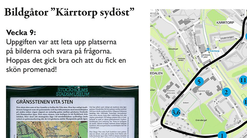 Bildgåtor i Kärrtorp, detalj.