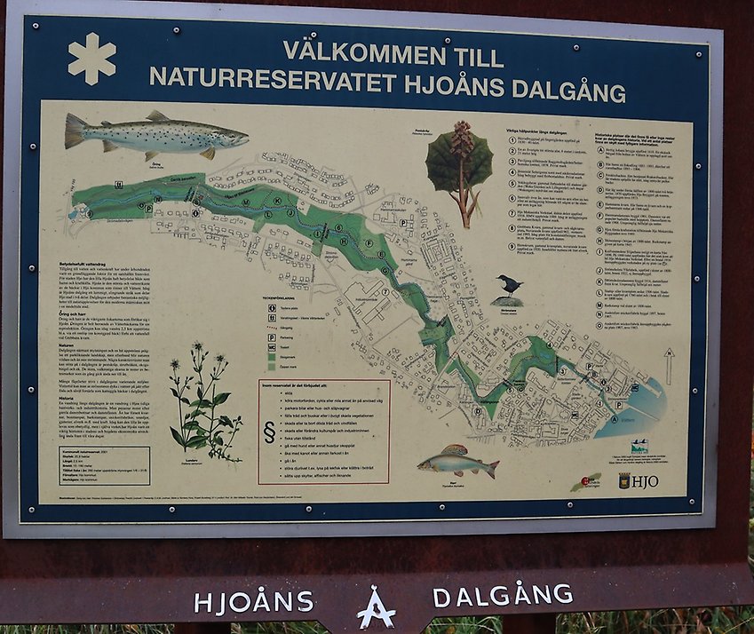 Informationstavla över naturreservatet Hjoån.: Foto: Iréne Larsson