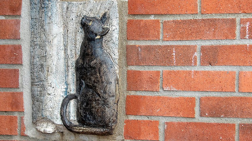 Katt, relief vid Ystadsvägen.