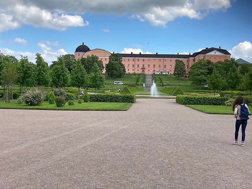 Uppsala slott från Botaniska trädgården. 