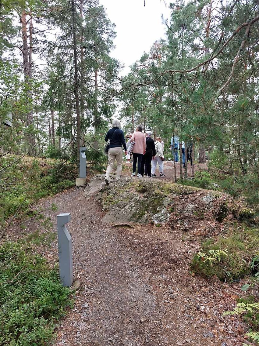 Promenad i stockholmsskog