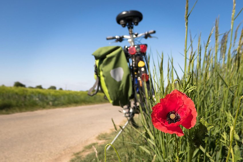 pixabay cykel på väg