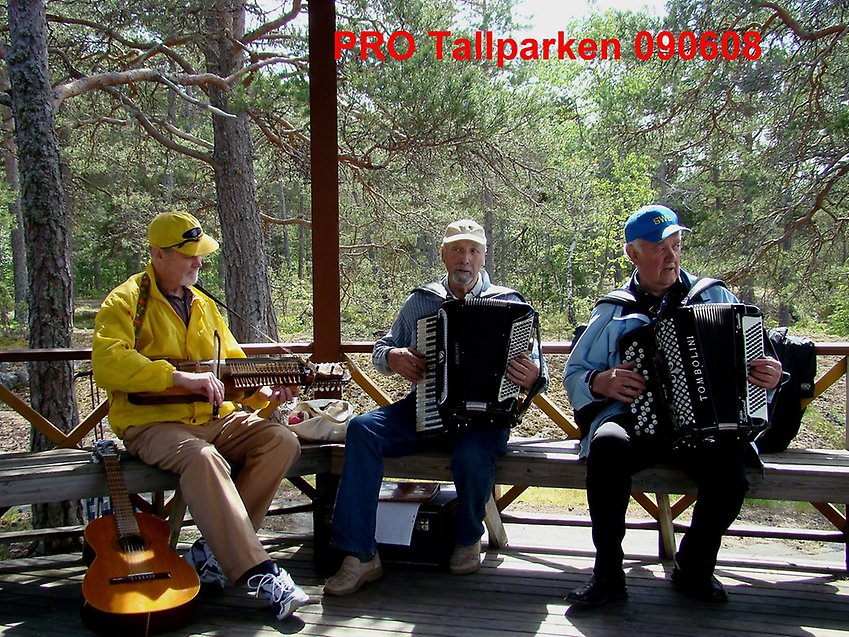 PRO i Tallparken 2009-06-08. Foto Jan Stanje
