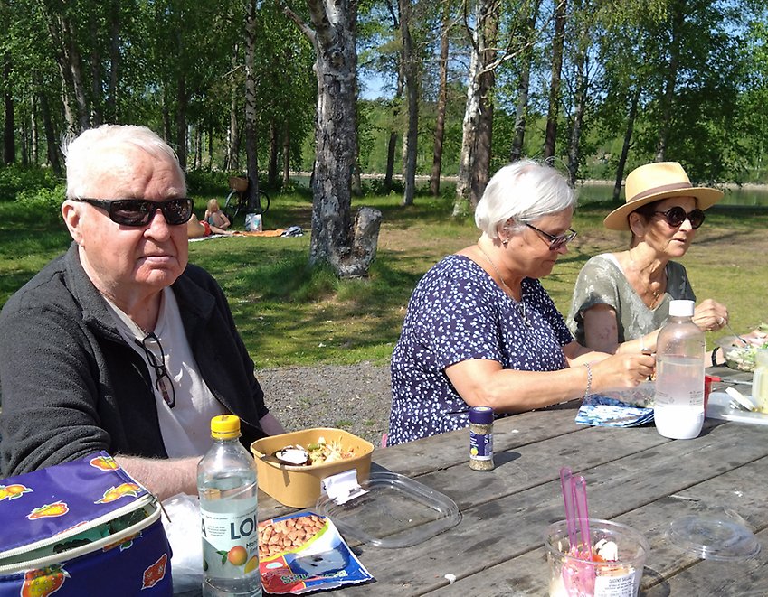 PRO Tegs medlemmar äter medhavd picknick mat på Bölesholmarna 