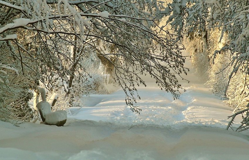 Vinterbild från Pixbay