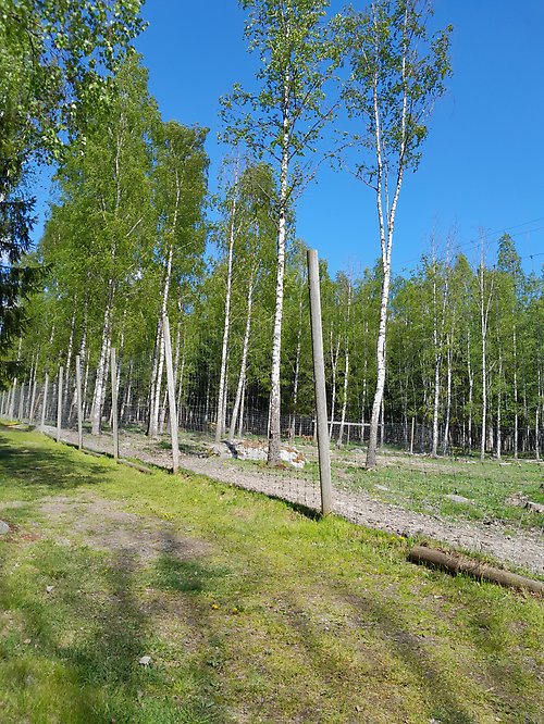 Naturbild